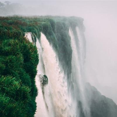 ld乐动体育官方网站截图