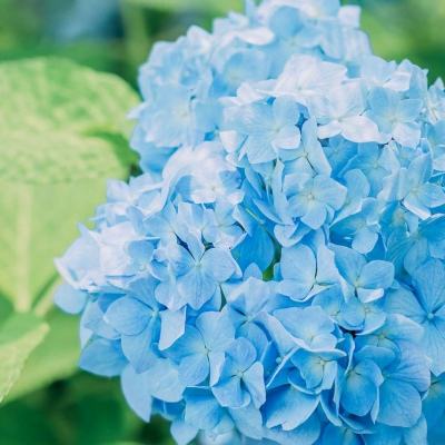 风云体育app下载官网最新版